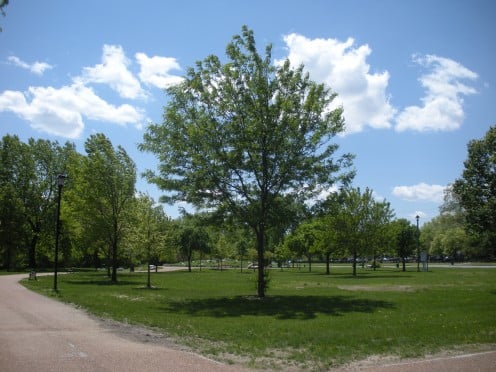 Lovely trees, walkways, and places to picnic or rest and enjoy the scenery by the Missouri River. 