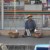 Food vendor on the railway station Food vendor on the railway station