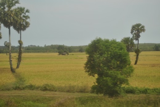 Agricultural country
