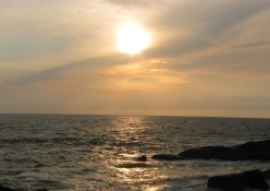 http://s3.hubimg.com/u/5606306_f248.jpg