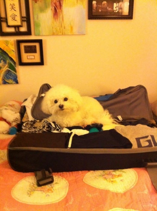 Nickiee wanted to come too
