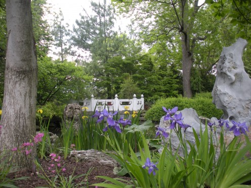 Photo 2 - I love the use of the large rocks here.