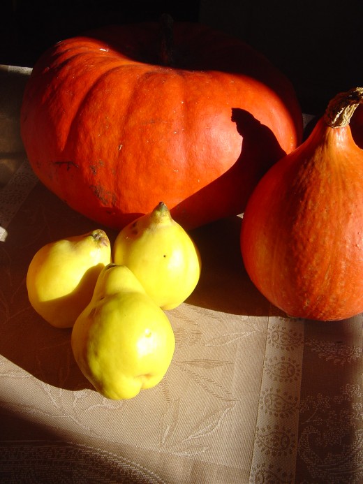 Squashes are easy to grow and great for Halloween
