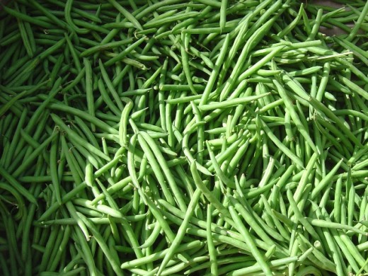 Another trouble-free and easy to grow veg (in Frnce at least) is the Haricot Vert or French bean