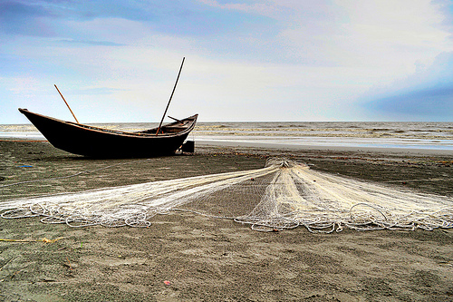 Tricks of the trade: the local fishermen use boats and nets such as these to help them catch fish in the sea