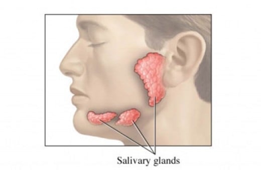 why-is-my-mouth-always-dry-healdove