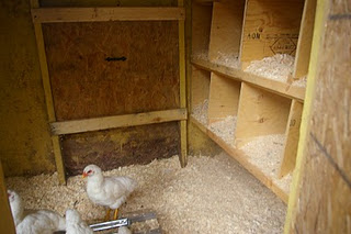 Nesting Boxes