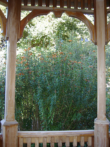 Shinn Historical Park and Gardens in Fremont California  
