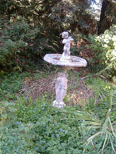 I absolutely adore this bird bath. The angel is fantastic, so much so that I took several close-ups of it. I also love the bleached out color.