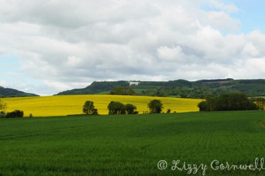 White Horse