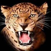 sandipttt profile image