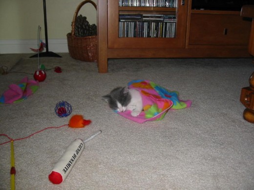 We took the "knot" out of the blanket and wrapped her in it! She was (and still is) a cutie!