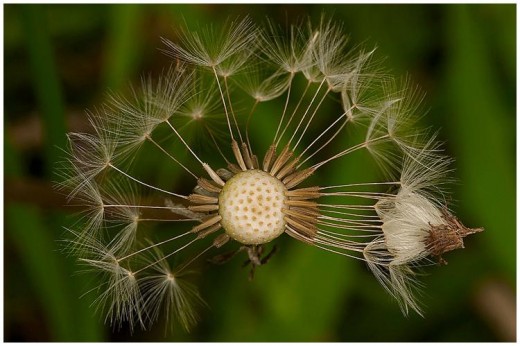 Natural Asymmetry