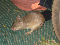 http://s3.hubimg.com/u/5644890_f248.jpg