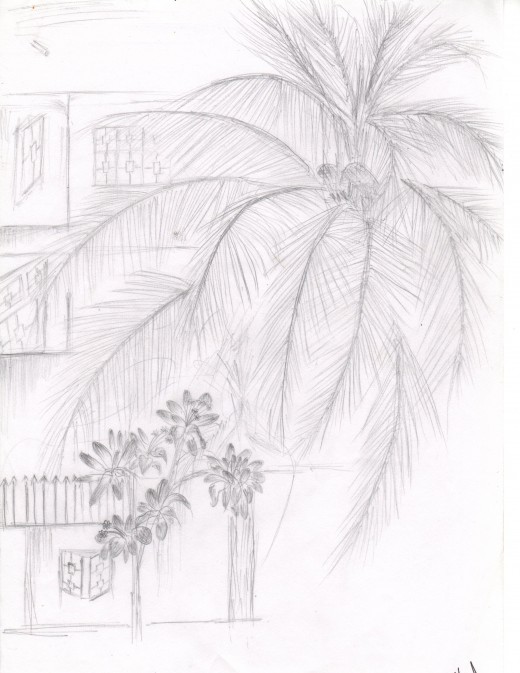  Pencil sketch