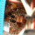PC Board copper coil 