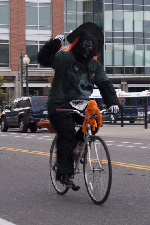 Let's hope that gorilla is about to signal a right turn... and not make a rude gesture!