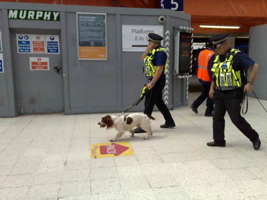 Police with dogs at Waterloo station