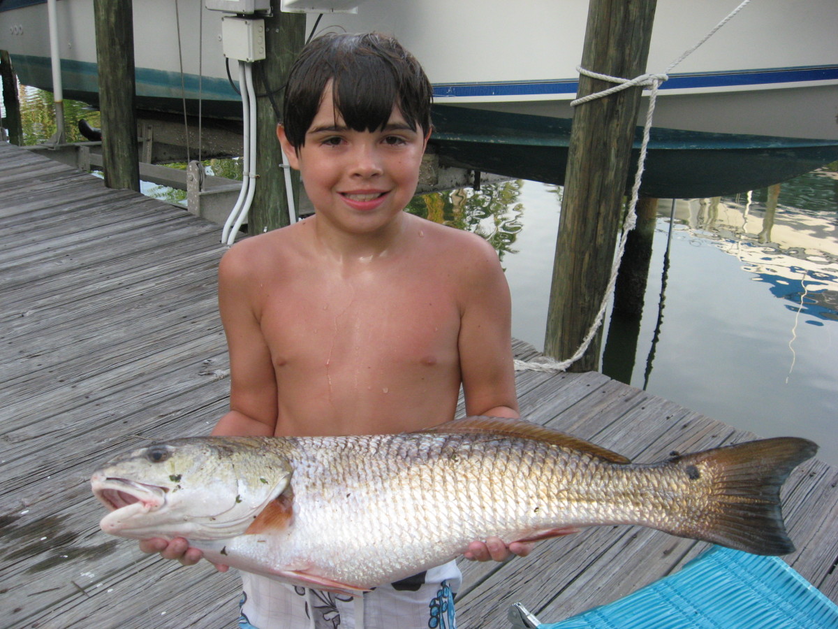 How to Catch a Big Redfish - with Fishing Video