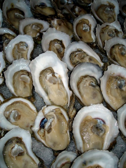 It was a bold man that ate that first oyster. But once he discovered what he had found he began to come up with many ways to cook what has become one of the worlds most popular shell fish. 
