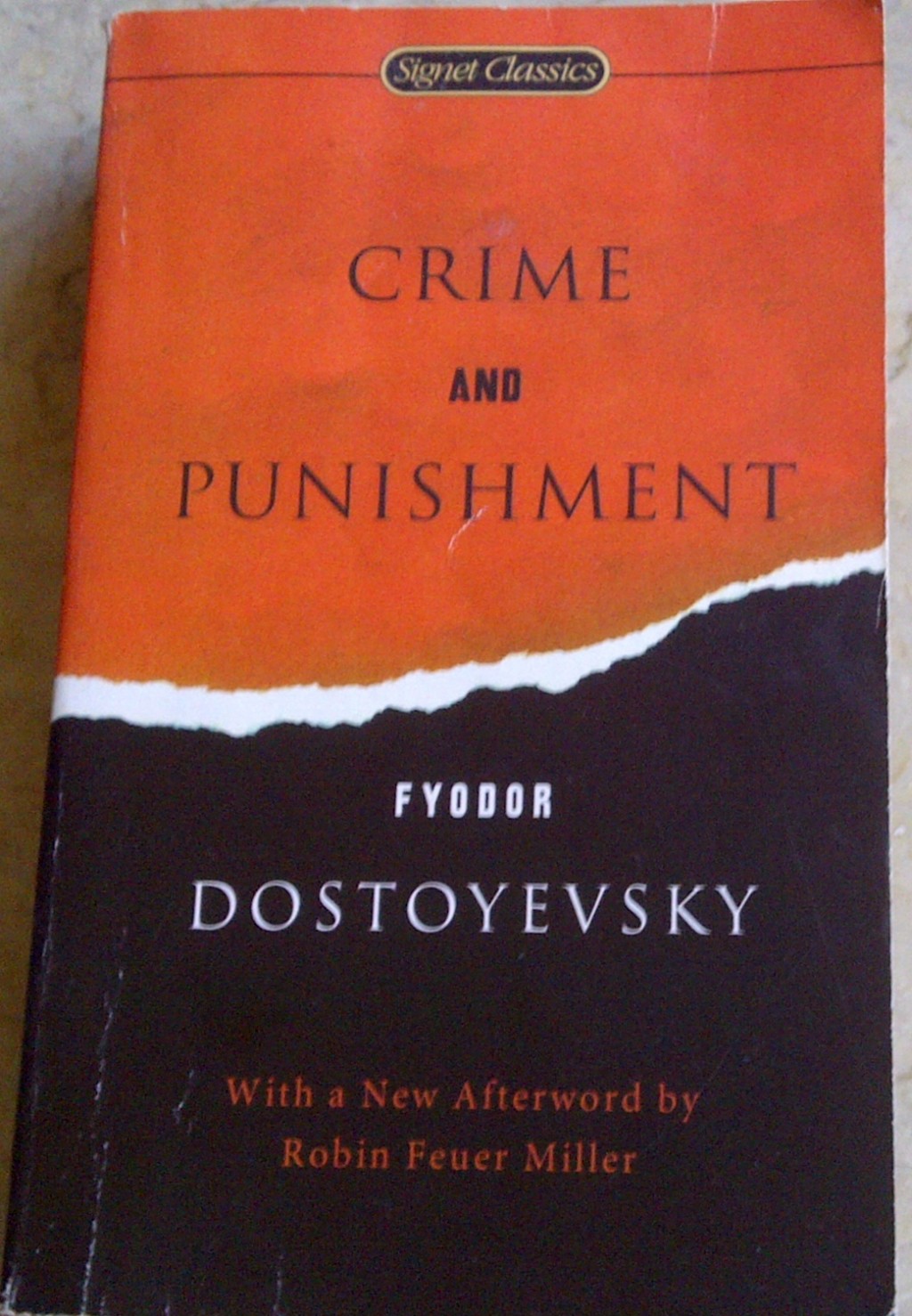 crime and punishment dostoevsky book review
