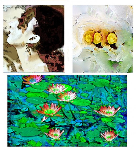 Pic 1: Artist's Self Expression Pic 2: White Flower Pic 3: Seven Lillies