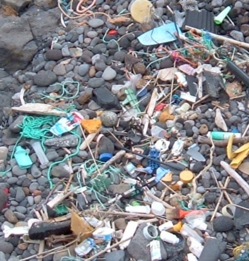 Plastic flotsam