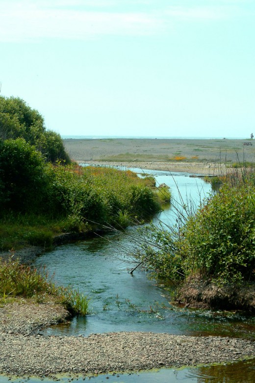 Serpentine Ocean River 