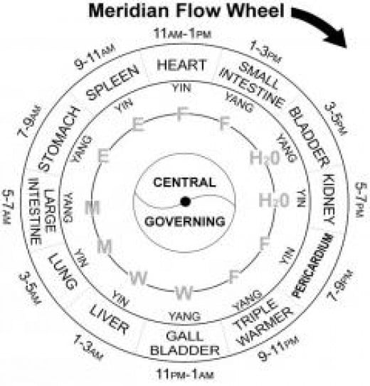 A Guide to the 12 Major Meridians of the Body RemedyGrove