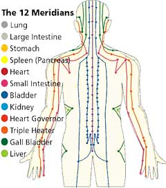 Meridians of the Body