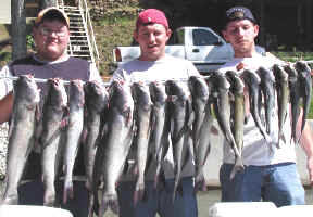 Lets Go Catch Some Catfish