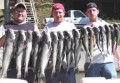 Everything You Ever Wanted To Know About Catching Catfish