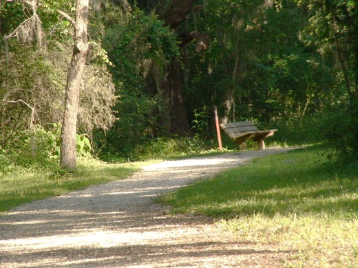 Hike and bike paths wind their way through the park, allowing visitors to get a first hand look at nature in process.