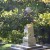 Thomas Jefferson's Grave Thomas Jefferson's Grave