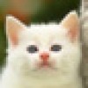 desiredlash profile image