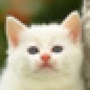 desiredlash profile image