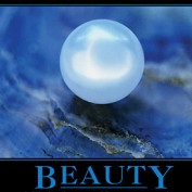 immo profile image