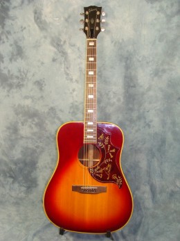 Pro Martin ギター/Gibson Dove, Hummingbird風