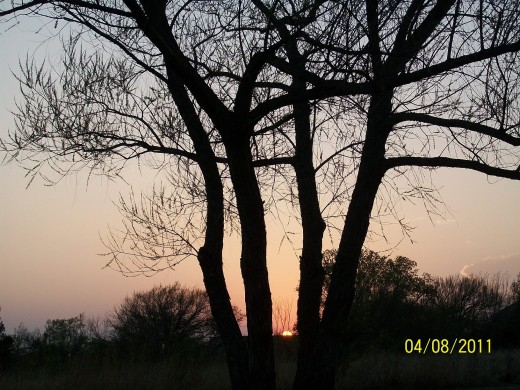 The setting sun delays the pewter tone of eve only for a  while.