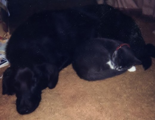 Fred with Oscar