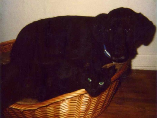 Fred with Percy