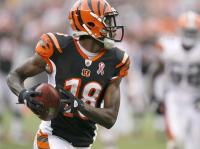 A.J Green is becoming a consistent option at receiver for Andy Dalton.  