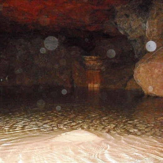 Photograph showing multiple "orbs".