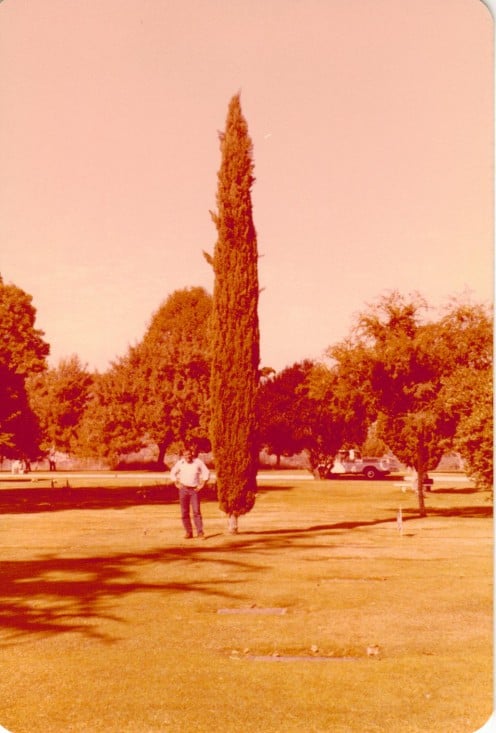 Our favorite Italian Cypress Tree at the Cemetery where we would go take flowers to my grandparents.  This place has a whole new meaning to me now of course.  