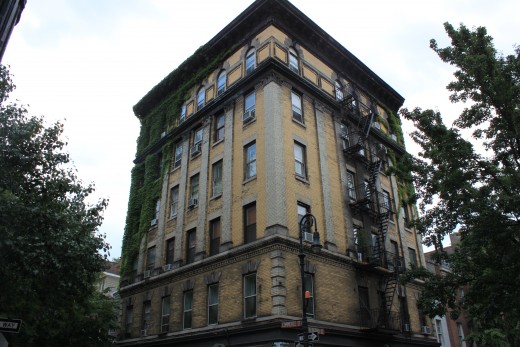 Building in Greenwich village with plants growing up the side of the building (August 2011)