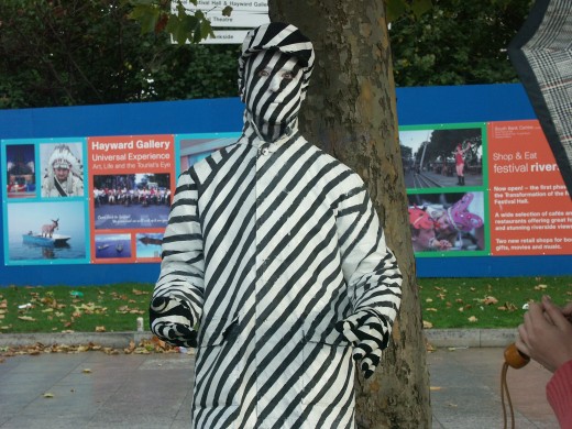 Zebra Man