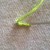 Figure 2: Make another running stitch just above the last one you made Figure 2: Make another running stitch just above the last one you made