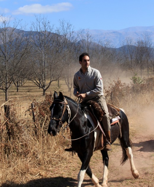 "Now this is how you gallop..." Argentina