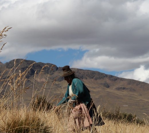 Working Lady - Peru 