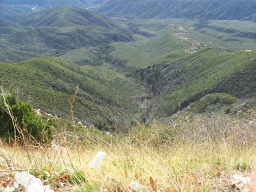 Looking down the hillside with canyons leading towards the San Bernardino Valley.
